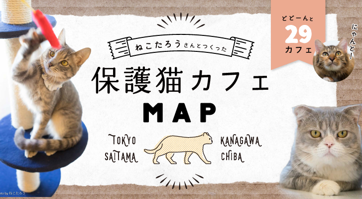 Gwに行ってみたい 首都圏近郊 保護猫カフェmap 猫ジャーナル Gwに行ってみたい 首都圏近郊 保護猫カフェmap 猫ジャーナル