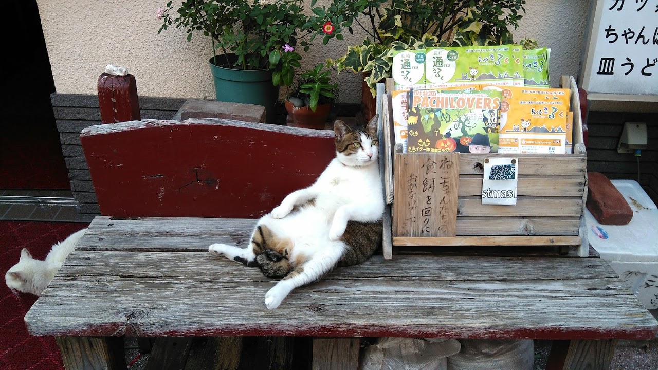 猫本書評：海風を運ぶ長崎ことばが伝える、心にかかえたu201c尾曲がり猫u201dの 