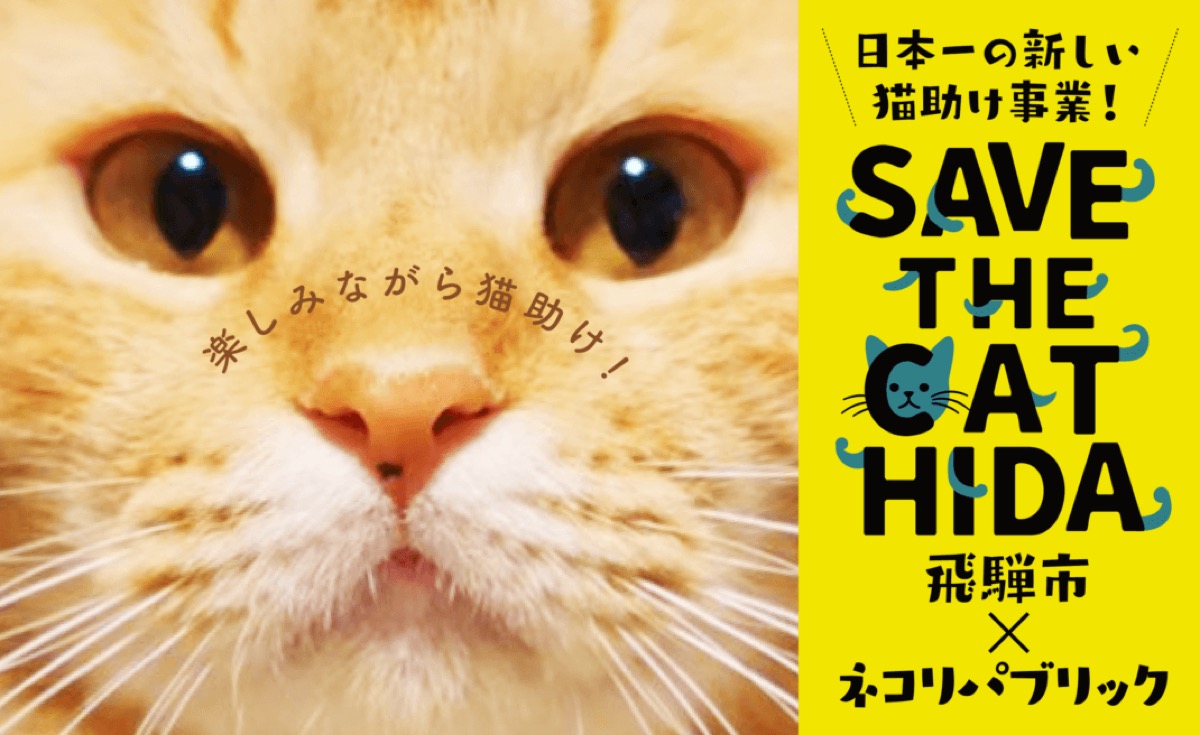 地域課題も猫の力で解決へ、猫が助かる岐阜県飛騨市のふるさと納税