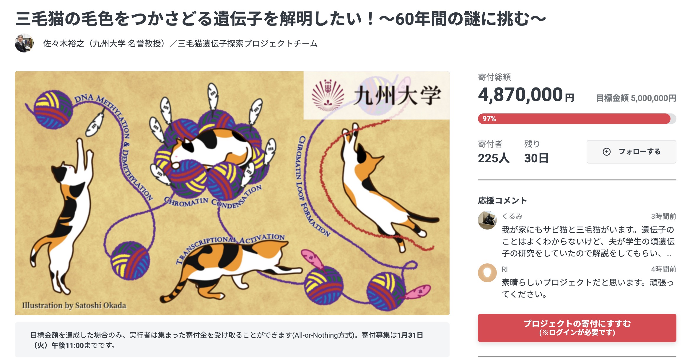 2023年は“三毛猫遺伝子”解明へ近づけるかも、九大がクラファンで研究へ