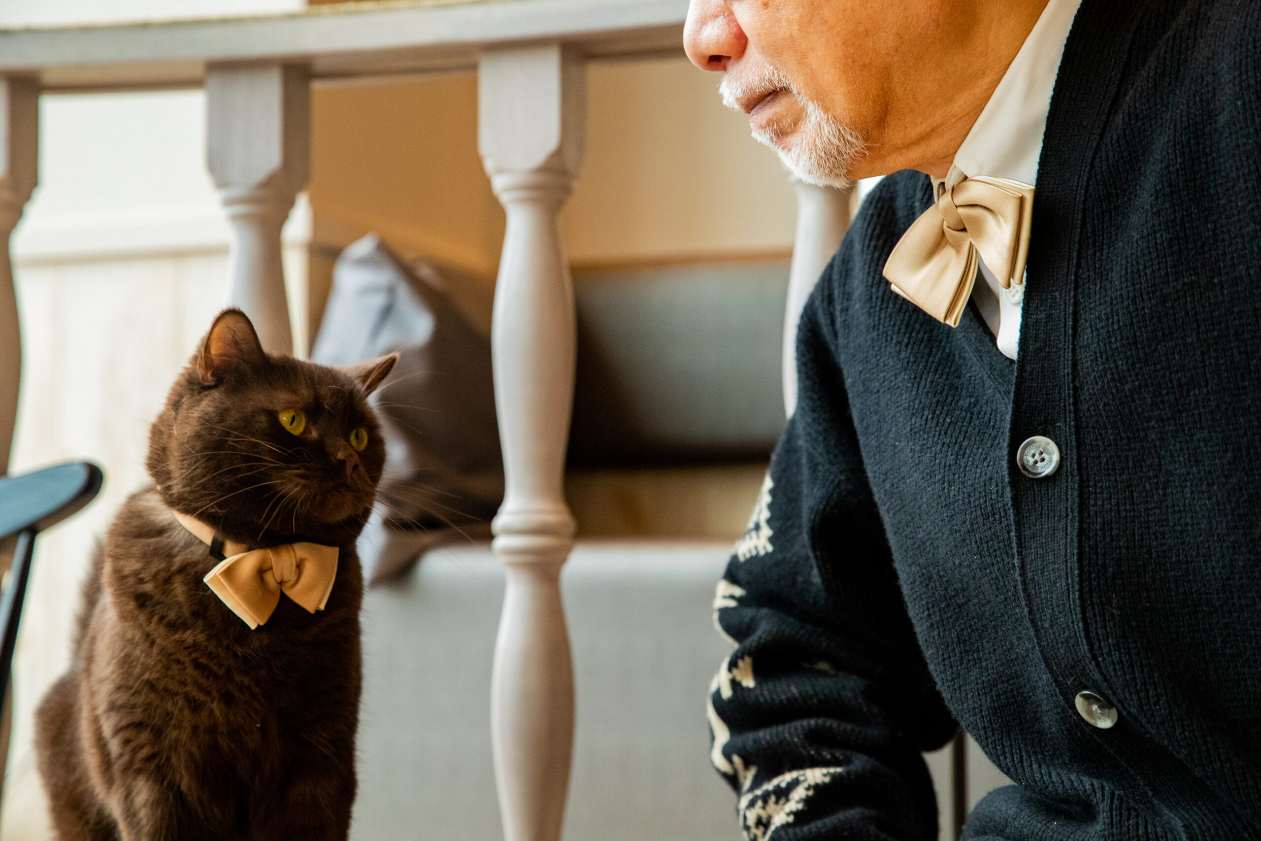 230223Cat_BI0I1085-scaled.jpg