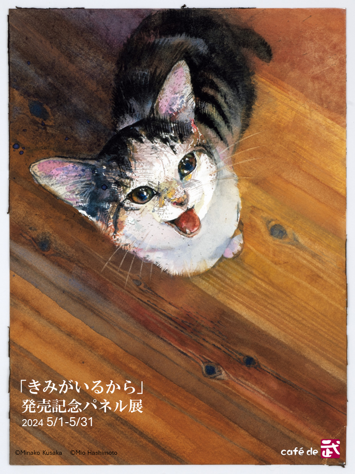 240513cat02.png