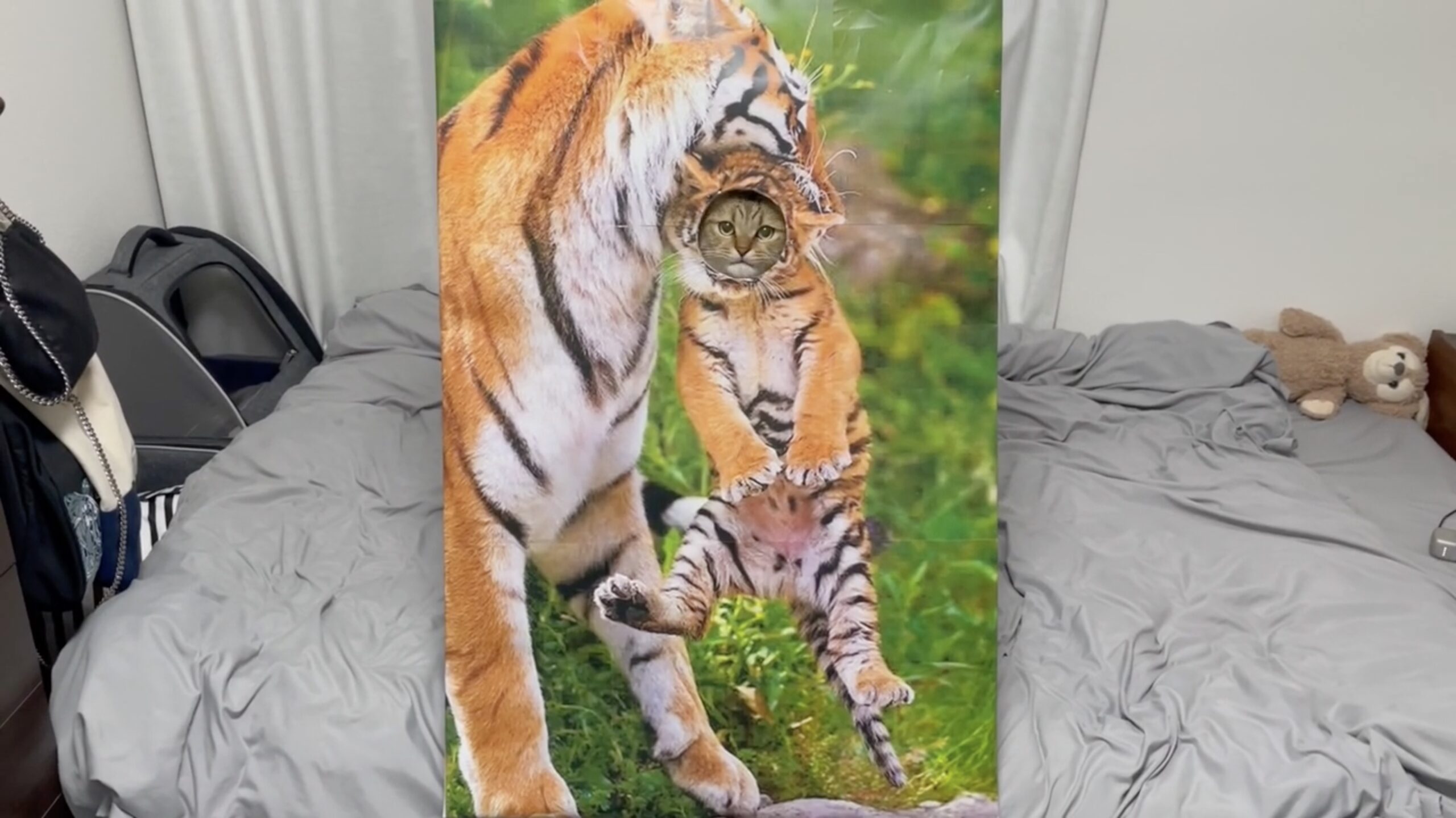 猫用の顔はめパネルでギャップ萌え、トラの体にキョトンと収まる | 猫